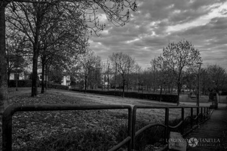 COVID19 17