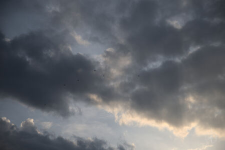 DSCF0378