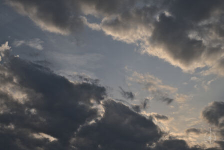 DSCF0387