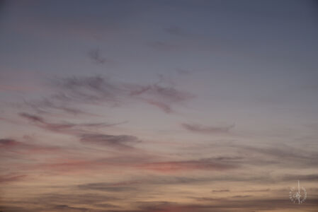 DSCF0565