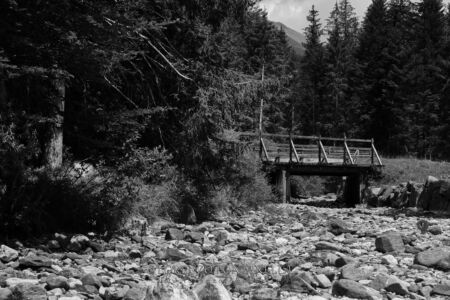 Creekbed