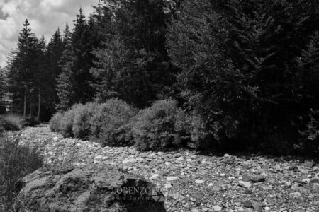 Stone Road