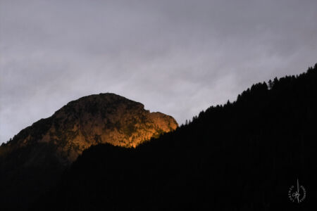 IMG01243a