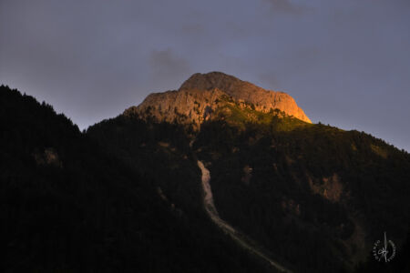 IMG01252b