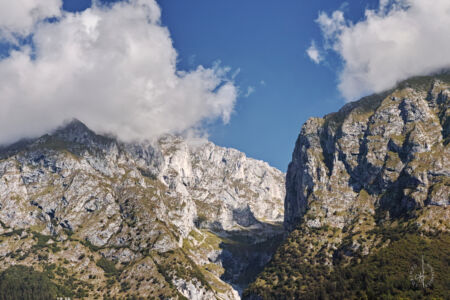SDIM2751M