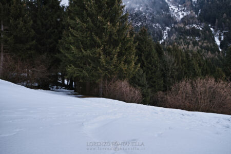 Lorenzo Fontanella - web: https://www.lorenzofontanella.it/