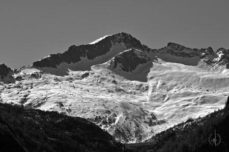 SDIM4491m