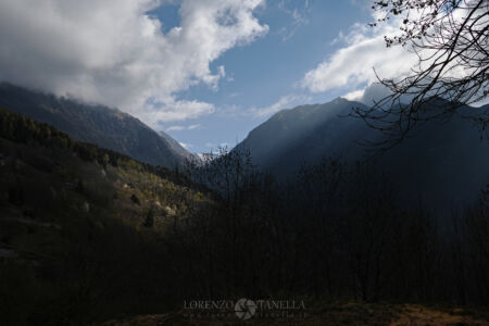 Lorenzo Fontanella - web: https://www.lorenzofontanella.it/