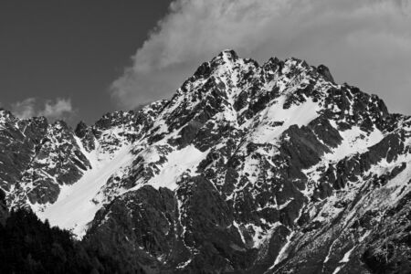 SDIM5204m