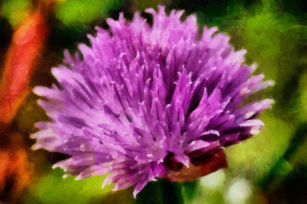 Violet Wildflower Mini
